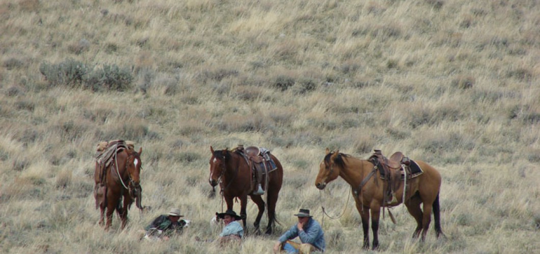 Montana (02)
